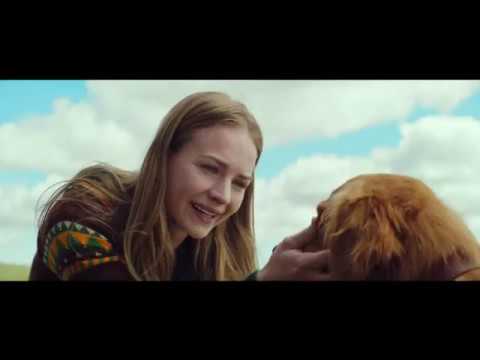 A Dogs Purpose Torrent